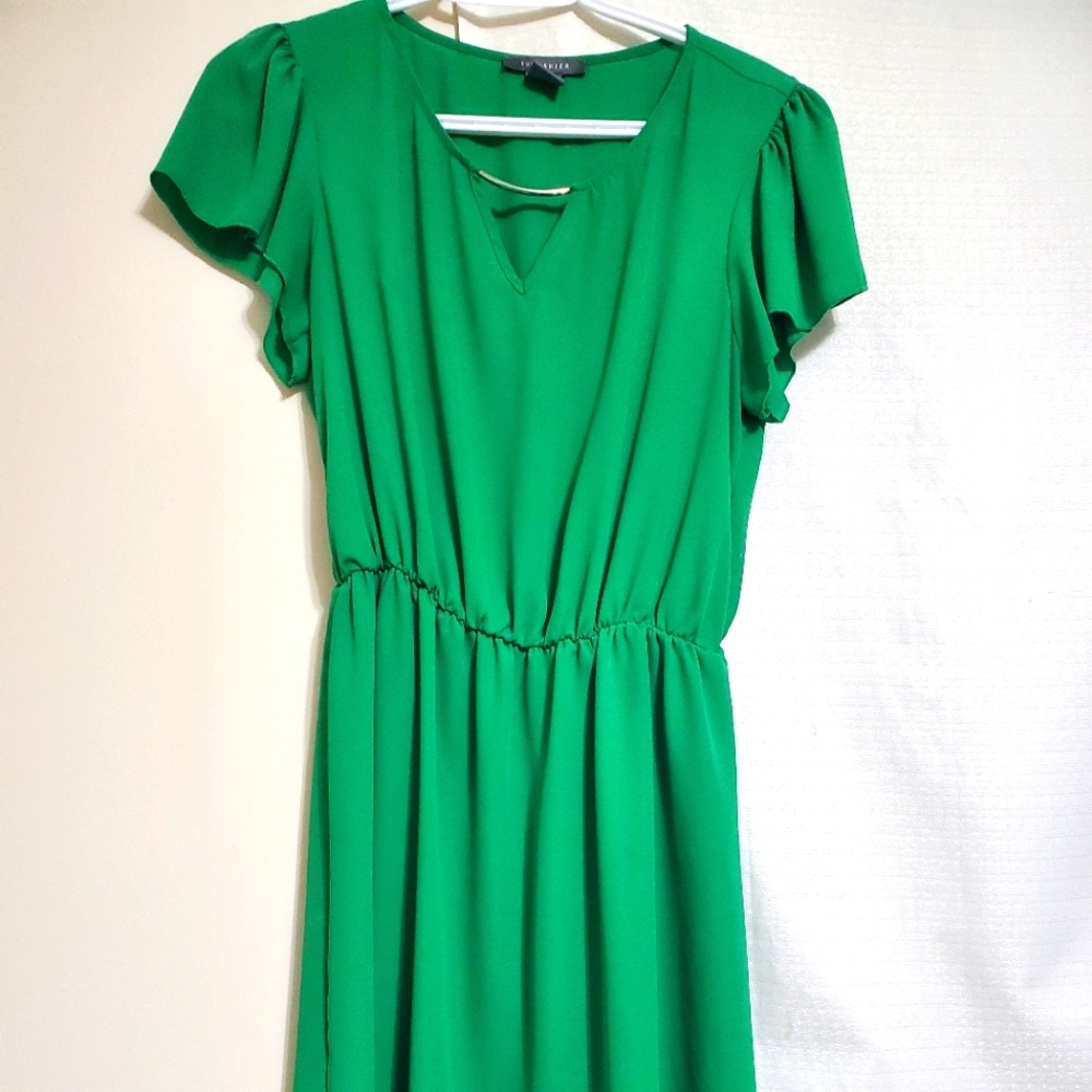 Suzy Sheer Dress